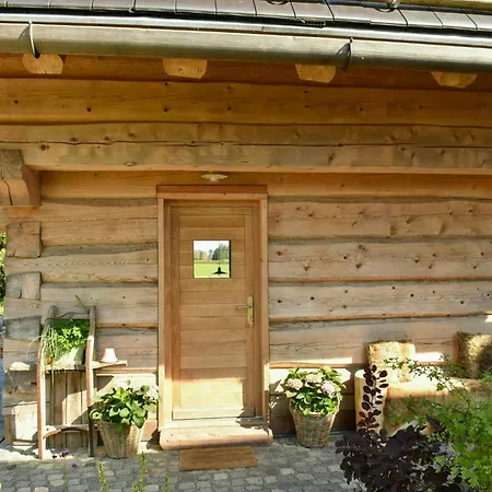 Naturstamm Blockhaus Mit Sauna Im Oberharz 度假居