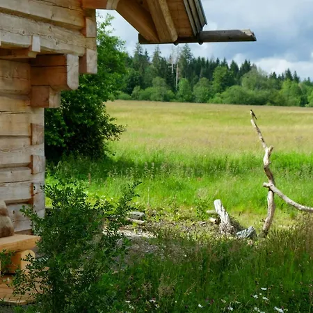 Casa de Férias Log With Sauna In The Upper Harz Mountains Buntenbock