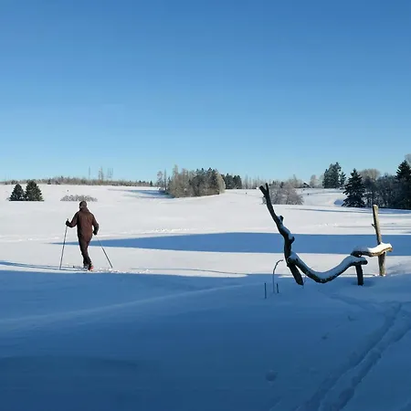 Log With Sauna In The Upper Harz Mountains Semesterbostad