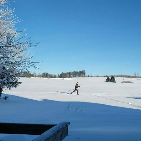 Log With Sauna In The Upper Harz Mountains *